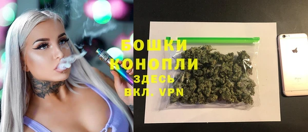 прущие грибы Арсеньев