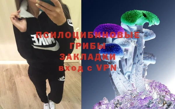 прущие грибы Арсеньев