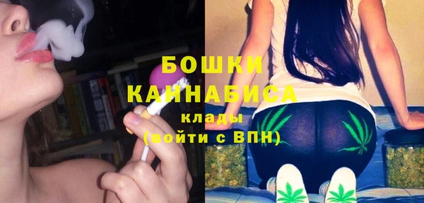прущие грибы Арсеньев